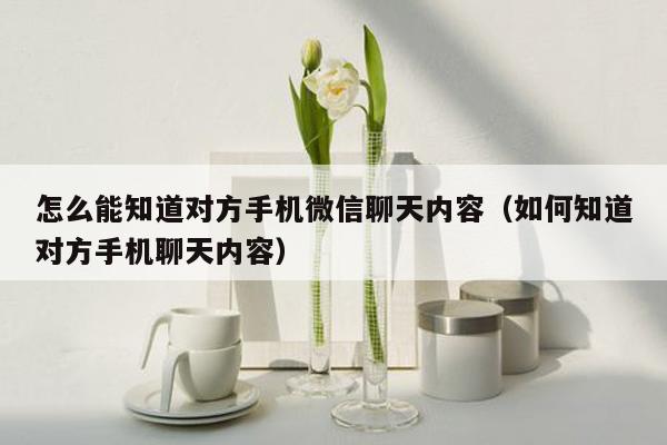 怎么能知道对方手机微信聊天内容(如何知道对方手机聊天内容)