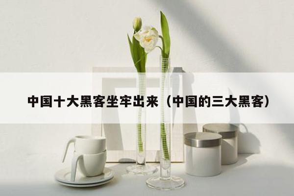 中国十大黑客坐牢出来(中国的三大黑客)