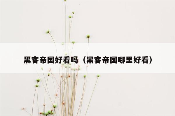 黑客帝国好看吗(黑客帝国哪里好看)