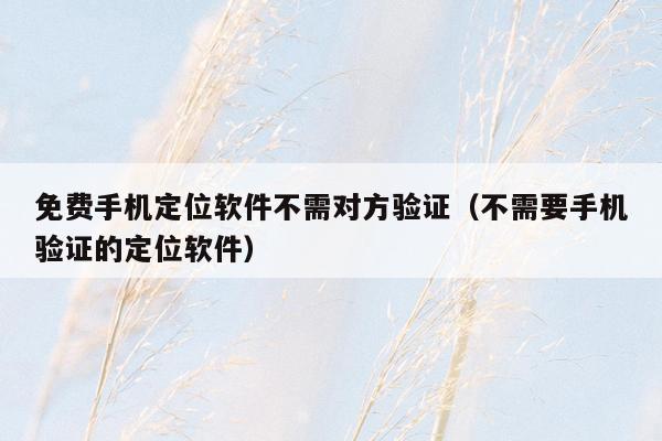 免费手机定位软件不需对方验证(不需要手机验证的定位软件)