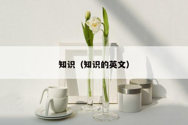 知识(知识的英文)