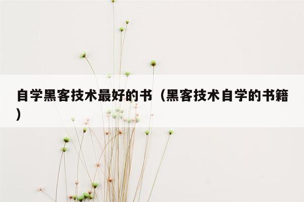 自学黑客技术最好的书(黑客技术自学的书籍)