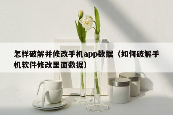 怎样破解并修改手机app数据(如何破解手机软件修改里面数据)