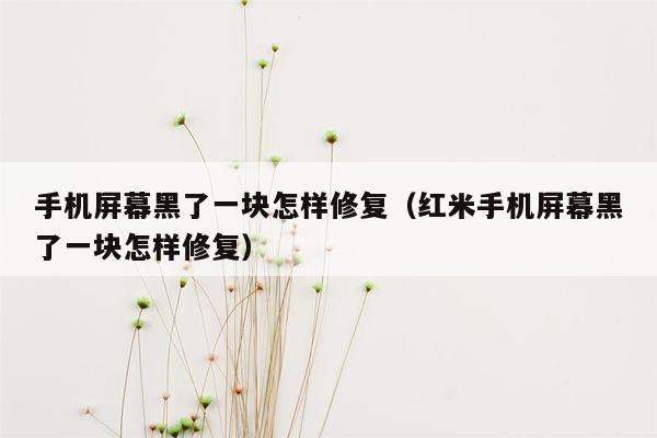 手机屏幕黑了一块怎样修复(红米手机屏幕黑了一块怎样修复)