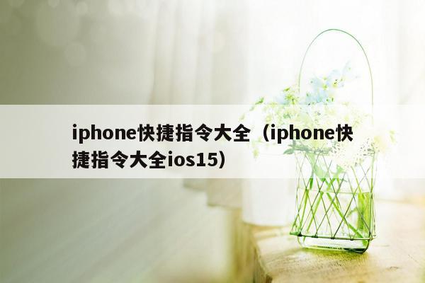 iphone快捷指令大全(iphone快捷指令大全ios15)