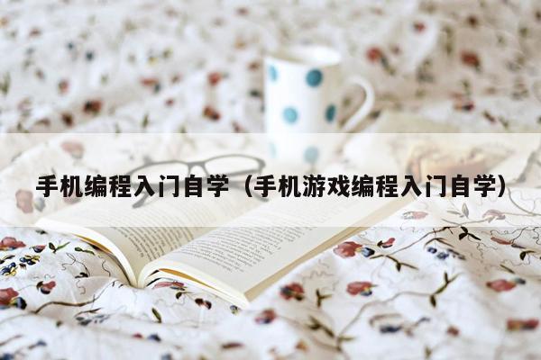 手机编程入门自学(手机游戏编程入门自学)