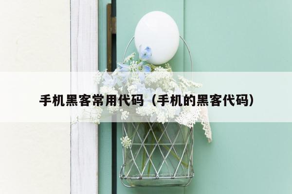 手机黑客常用代码(手机的黑客代码)