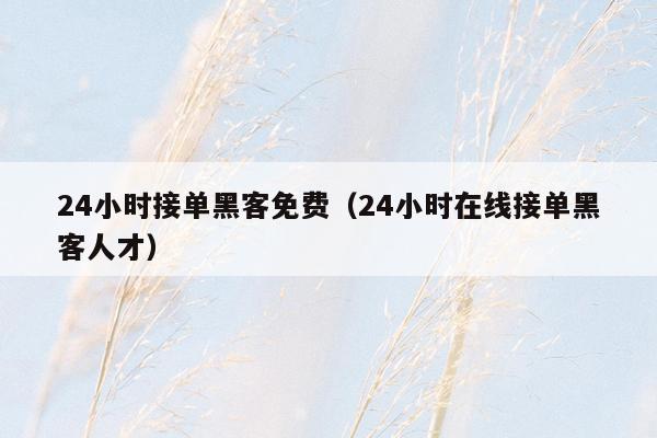 24小时接单黑客免费(24小时在线接单黑客人才)