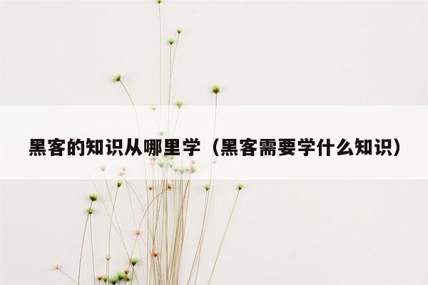 黑客的知识从哪里学(黑客需要学什么知识)