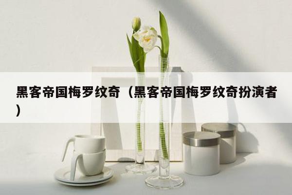 黑客帝国梅罗纹奇(黑客帝国梅罗纹奇扮演者)