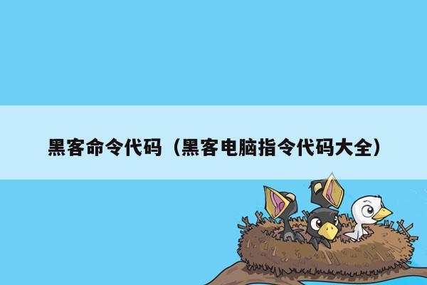 黑客命令代码(黑客电脑指令代码大全)