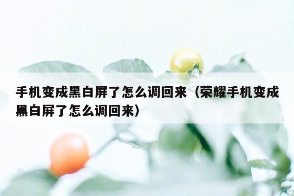 手机变成黑白屏了怎么调回来(荣耀手机变成黑白屏了怎么调回来)