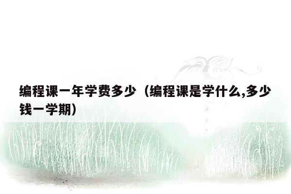 编程课一年学费多少(编程课是学什么,多少钱一学期)