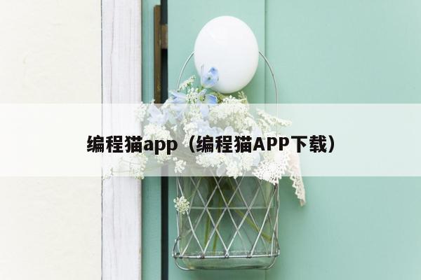 编程猫app(编程猫APP下载)