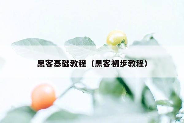 黑客基础教程(黑客初步教程)