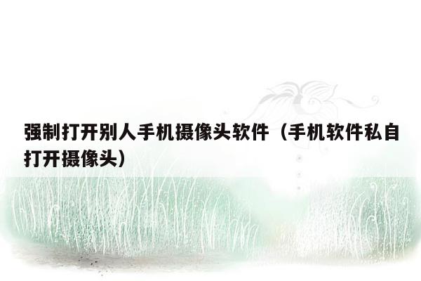 强制打开别人手机摄像头软件(手机软件私自打开摄像头)