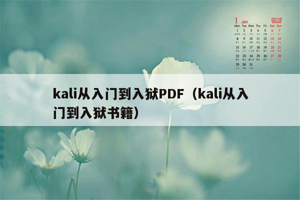 kali从入门到入狱PDF(kali从入门到入狱书籍)