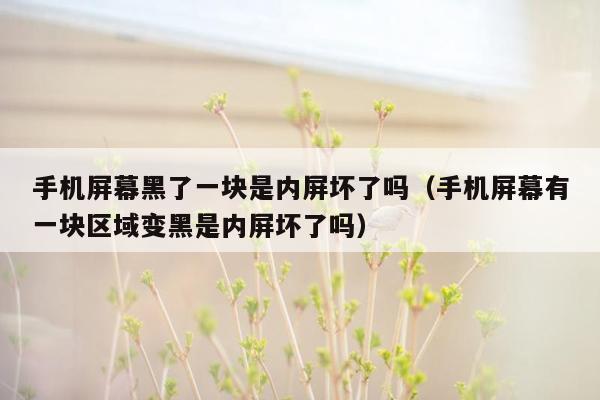 手机屏幕黑了一块是内屏坏了吗(手机屏幕有一块区域变黑是内屏坏了吗)