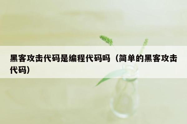 黑客攻击代码是编程代码吗(简单的黑客攻击代码)