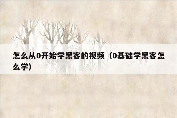怎么从0开始学黑客的视频(0基础学黑客怎么学)