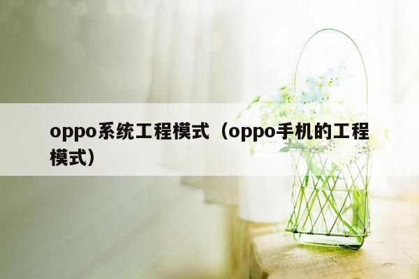 oppo系统工程模式(oppo手机的工程模式)