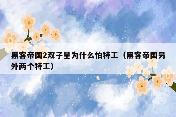 黑客帝国2双子星为什么怕特工(黑客帝国另外两个特工)