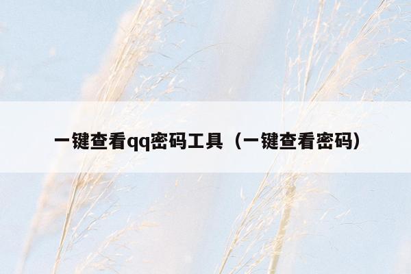 一键查看qq密码工具(一键查看密码)