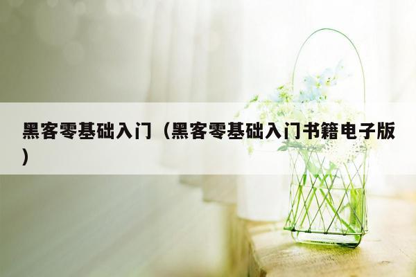 黑客零基础入门(黑客零基础入门书籍电子版)