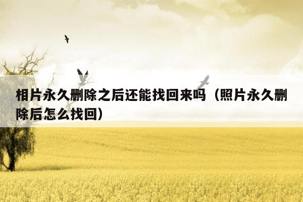 相片永久删除之后还能找回来吗(照片永久删除后怎么找回)