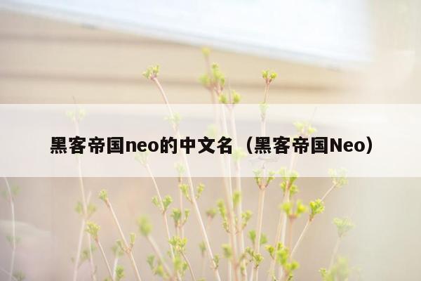 黑客帝国neo的中文名(黑客帝国Neo)