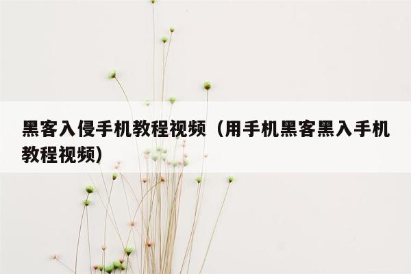 黑客入侵手机教程视频(用手机黑客黑入手机教程视频)