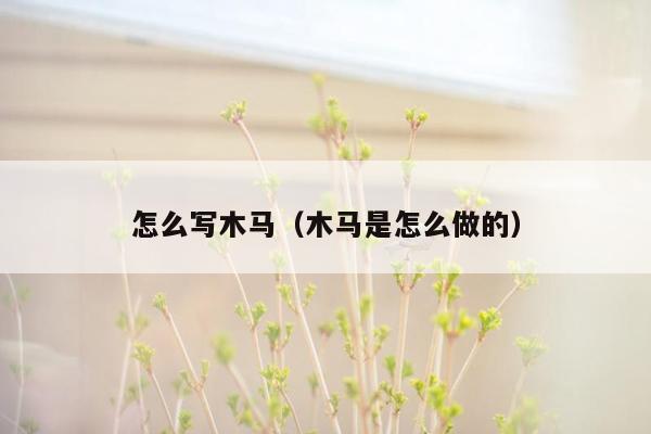 怎么写木马(木马是怎么做的)
