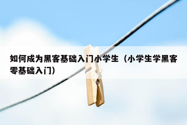 如何成为黑客基础入门小学生(小学生学黑客零基础入门)