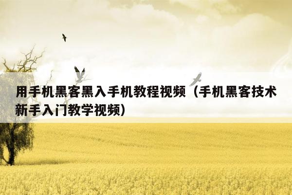 用手机黑客黑入手机教程视频(手机黑客技术新手入门教学视频)