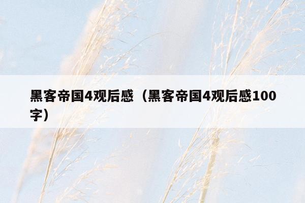 黑客帝国4观后感(黑客帝国4观后感100字)