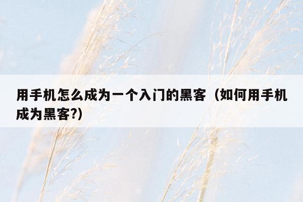 用手机怎么成为一个入门的黑客(如何用手机成为黑客?)