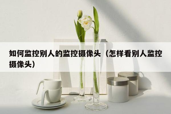 如何监控别人的监控摄像头(怎样看别人监控摄像头)