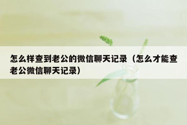 怎么样查到老公的微信聊天记录(怎么才能查老公微信聊天记录)