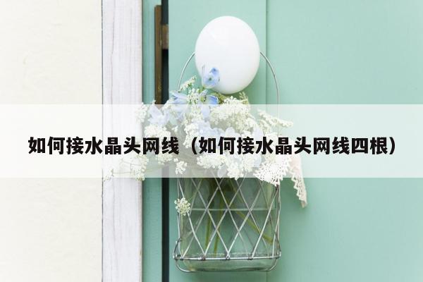 如何接水晶头网线(如何接水晶头网线四根)