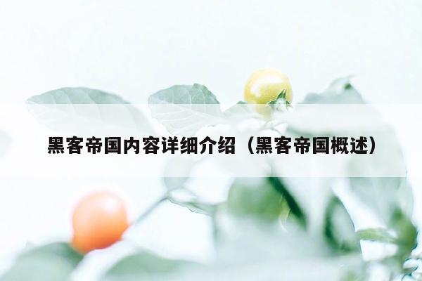 黑客帝国内容详细介绍(黑客帝国概述)