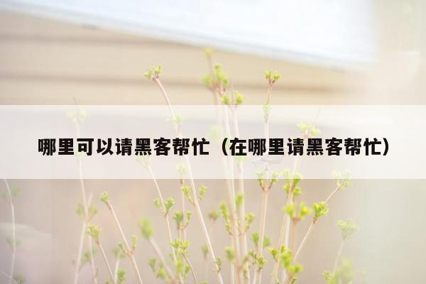 哪里可以请黑客帮忙(在哪里请黑客帮忙)