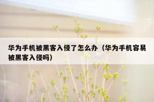 华为手机被黑客入侵了怎么办(华为手机容易被黑客入侵吗)