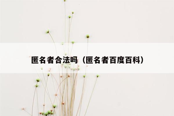 匿名者合法吗(匿名者百度百科)