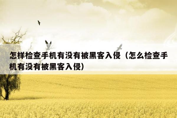 怎样检查手机有没有被黑客入侵(怎么检查手机有没有被黑客入侵)