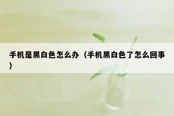 手机是黑白色怎么办(手机黑白色了怎么回事)
