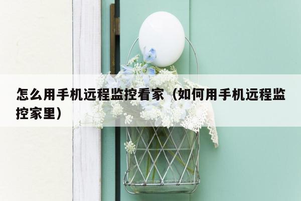怎么用手机远程监控看家(如何用手机远程监控家里)