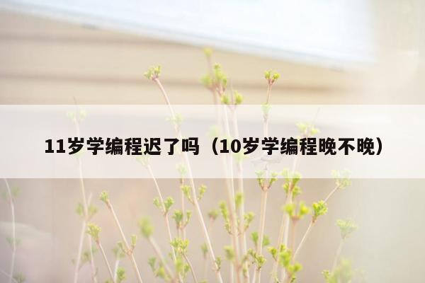 11岁学编程迟了吗(10岁学编程晚不晚)