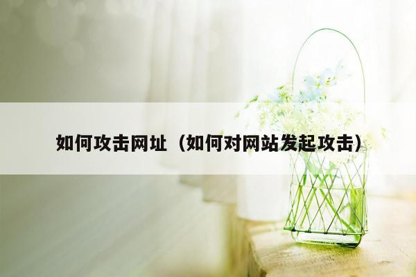 如何攻击网址(如何对网站发起攻击)