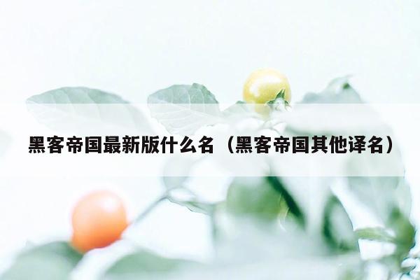 黑客帝国最新版什么名(黑客帝国其他译名)