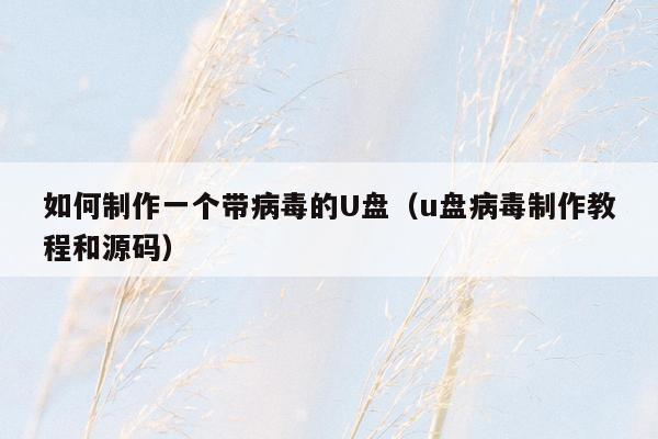 如何制作一个带病毒的U盘(u盘病毒制作教程和源码)